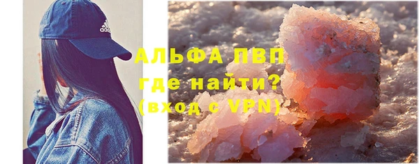 гидра Шали