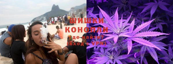 гидра Шали