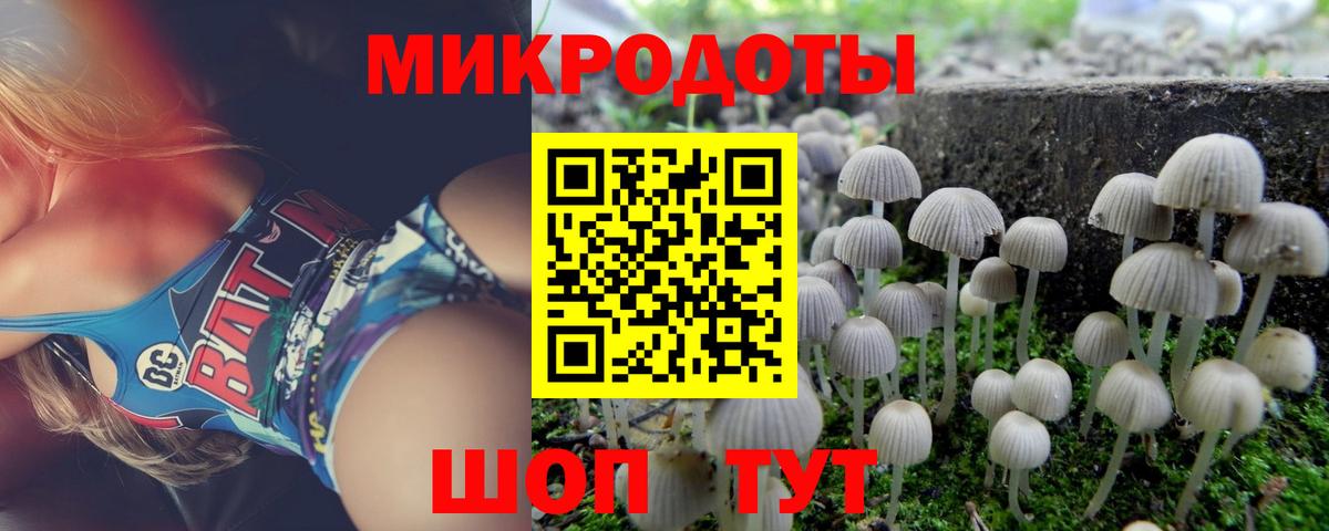 Борзя  Псилоцибиновые грибы ЛСД  Вход с VPN  дарнет шоп  Галлюциногенные грибы мицелий 
